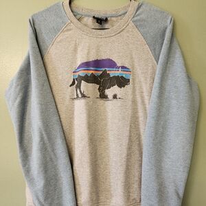 Patagonia Gray and Blue Crewneck Sweater